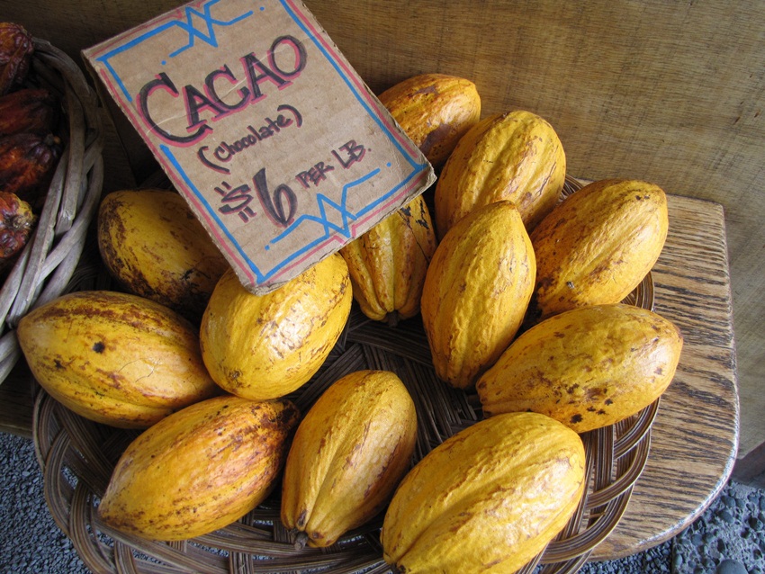 Cacao is better than cocoa. Here's why