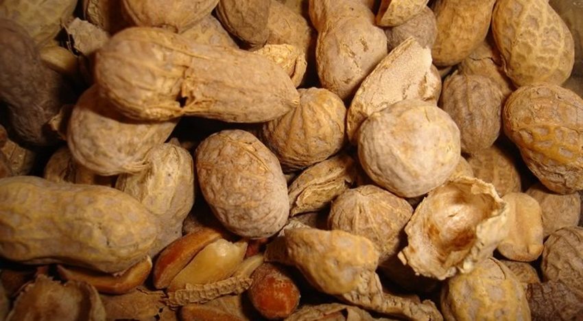 Six reasons why you should eat peanuts